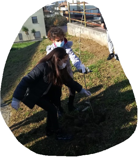 IMG 20201210 WA0059