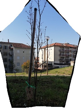 IMG 20201221 WA0010