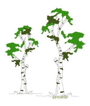 Alberi 52445