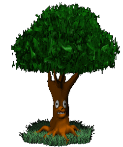 Alberi Vivi 83550