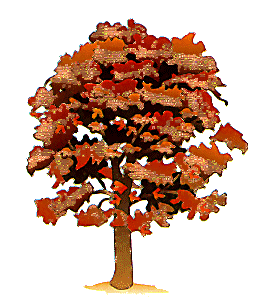 albero autunno