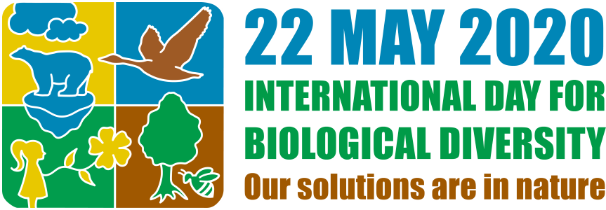idb 2020 logo en web 4