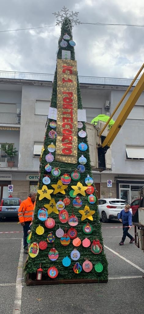 albero