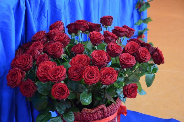 DSC 0103 640x424