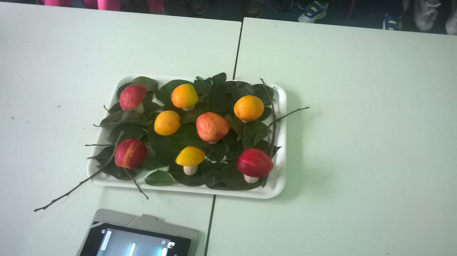 IMG 20161019 WA0010