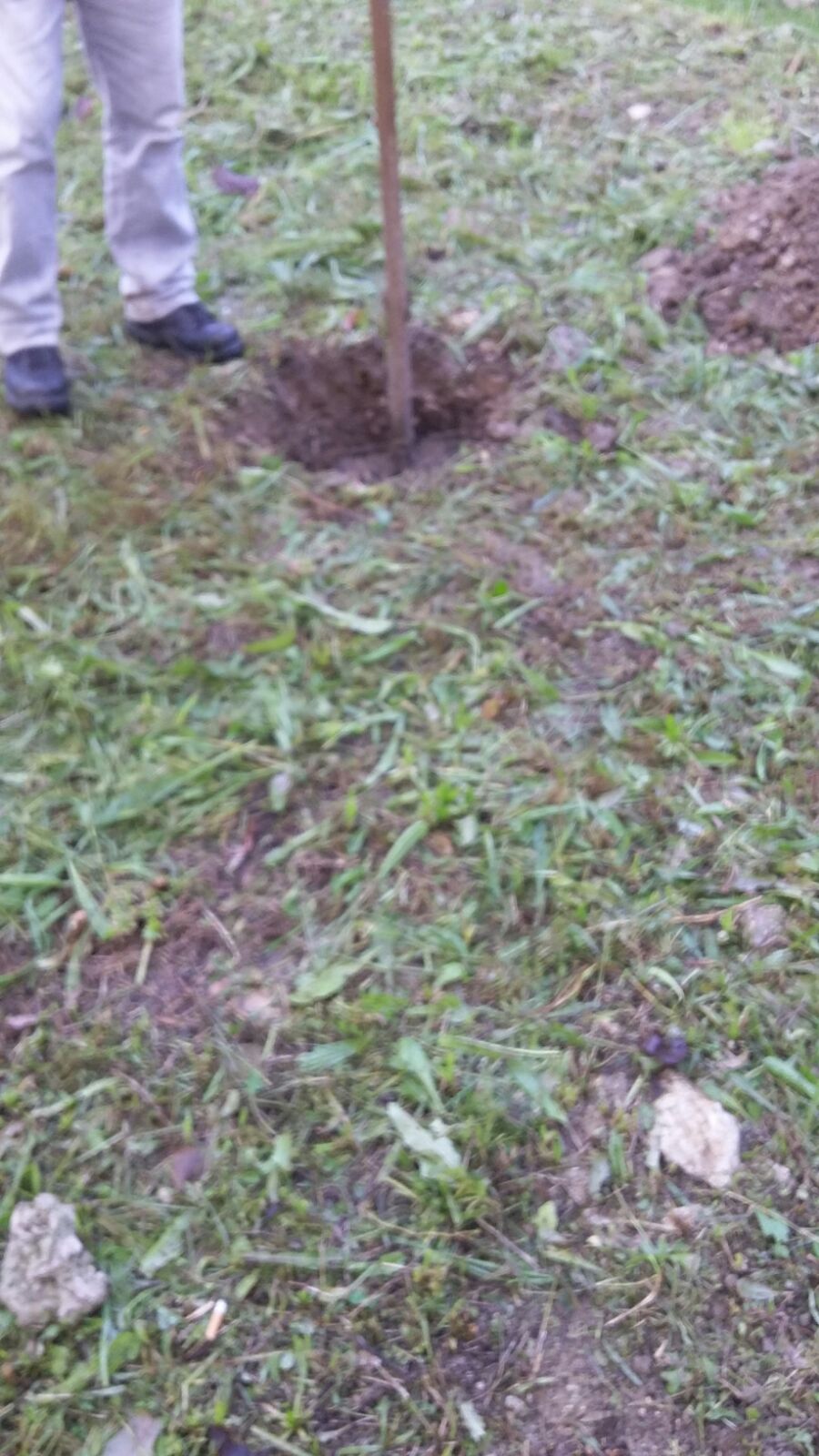 IMG 20161122 WA0014