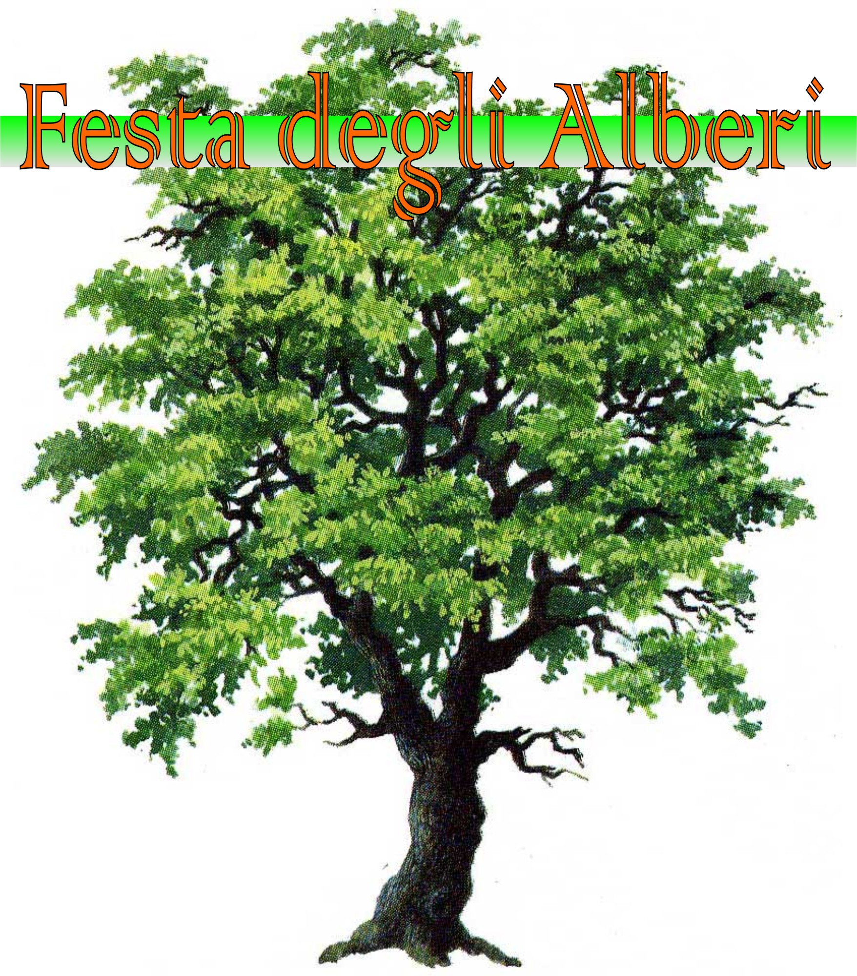 festa alberi
