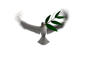 domenica delle palme