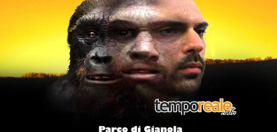 Evolution locandina 960x460
