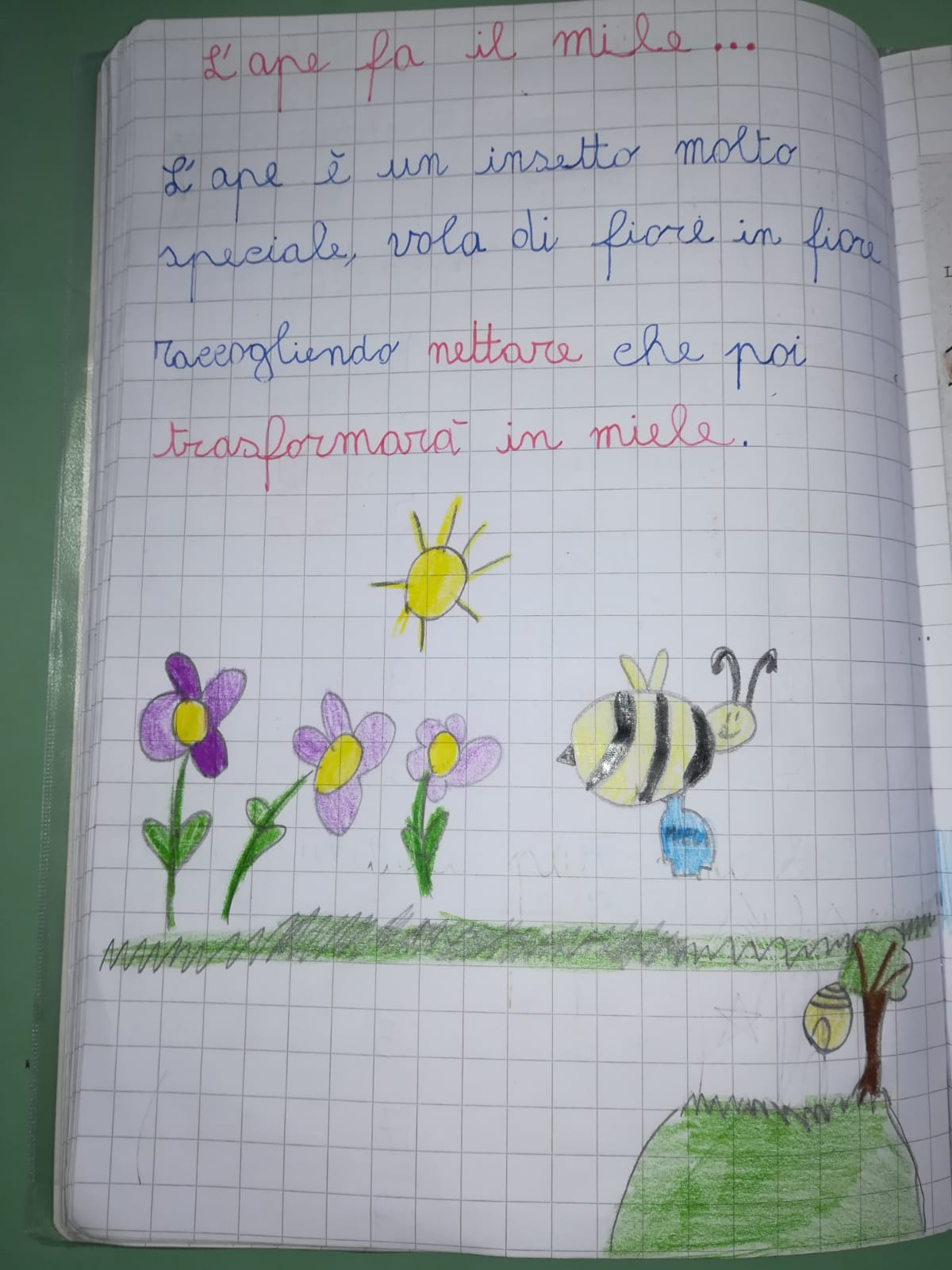 IMG 20190519 WA0017