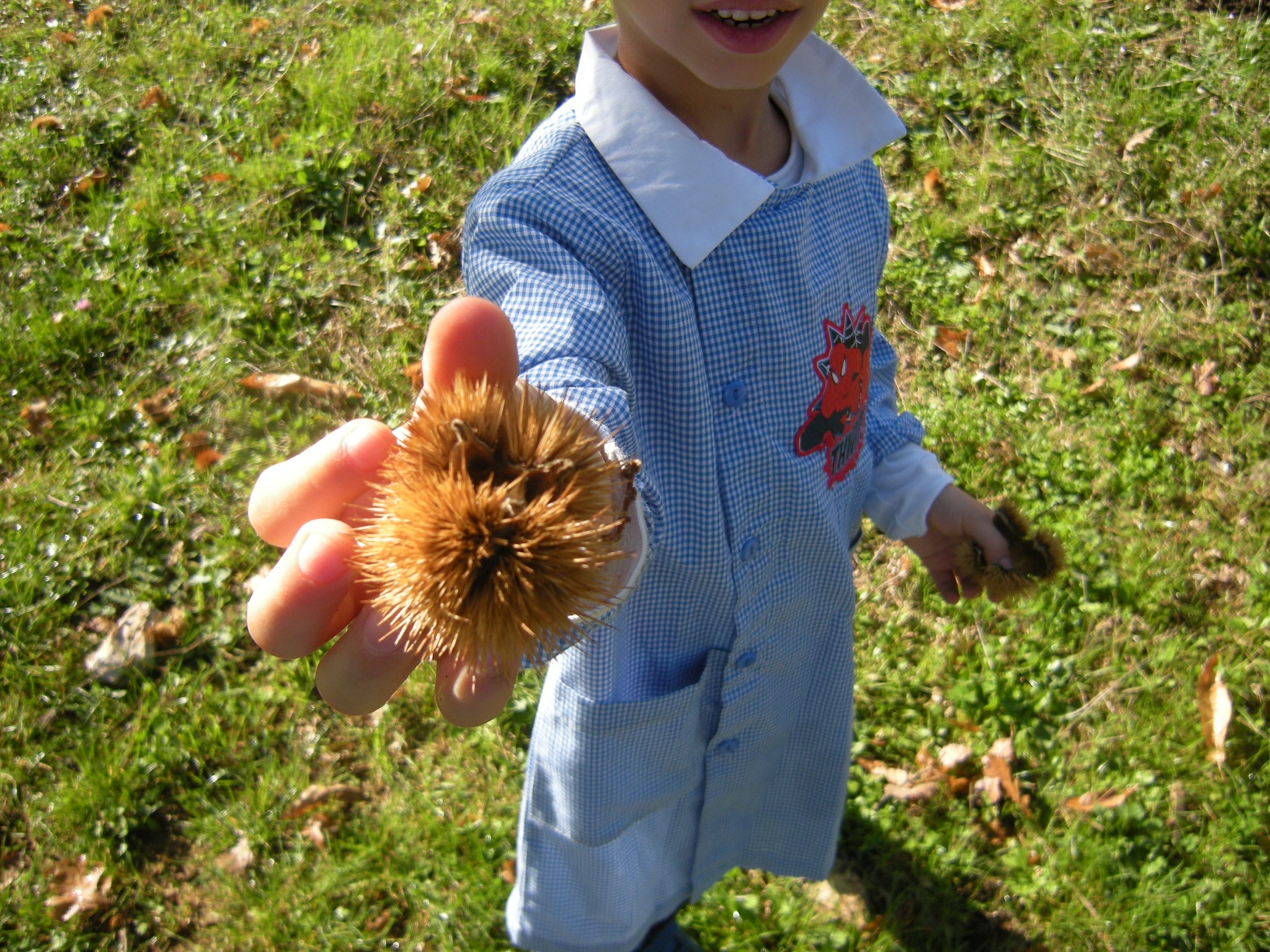 10