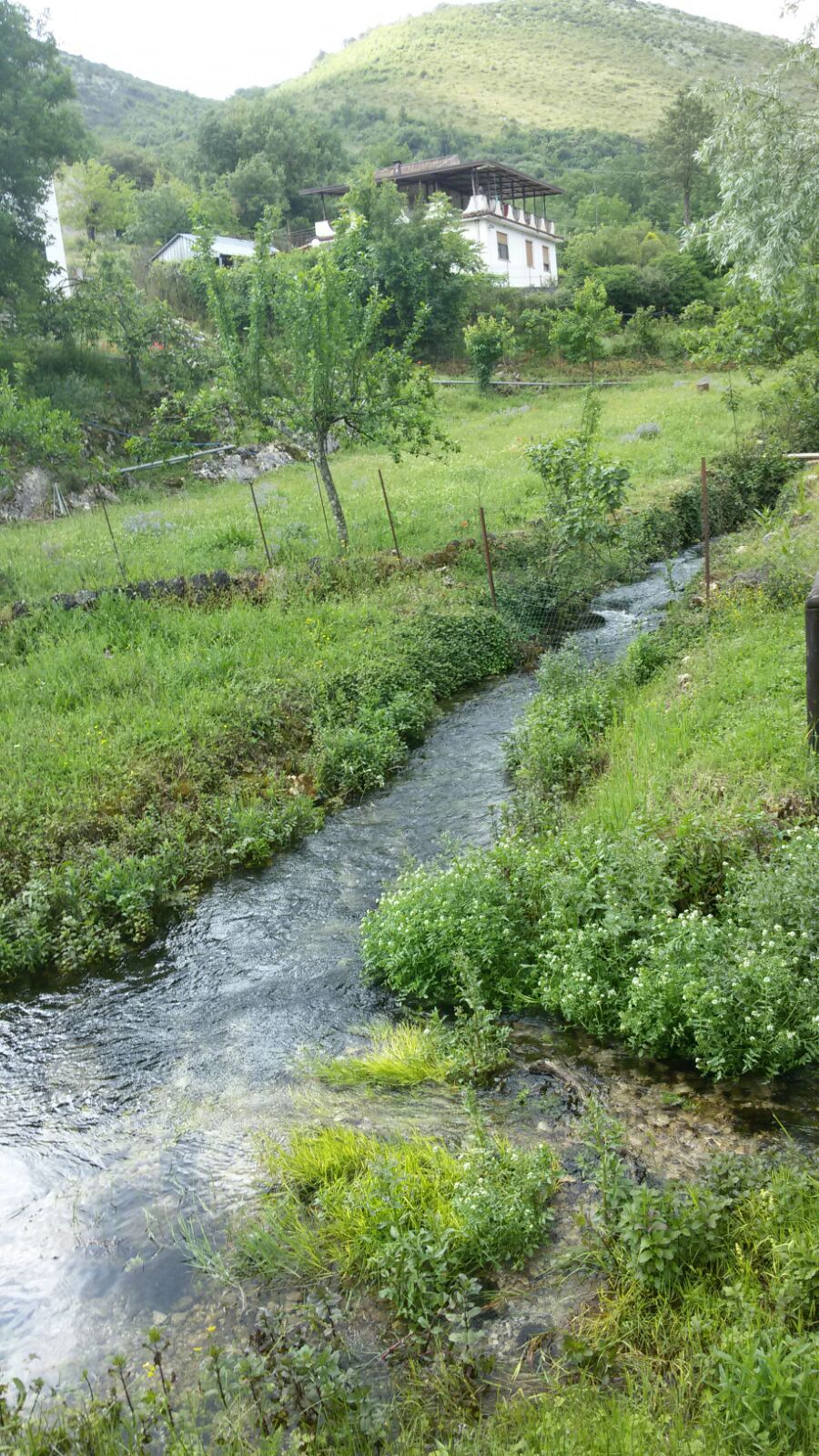 IMG 20160531 WA0005