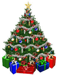 ALBERO