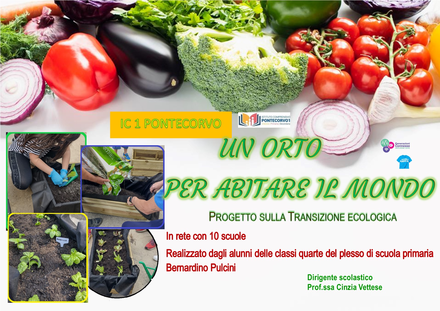 Orto