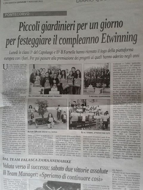 articolo 480x640